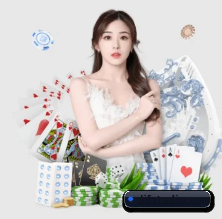 aoa网页版入口 APP 界面